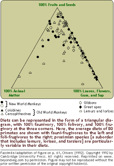 Figure: Faunivory, folivory, and frugivory in primates.